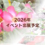 2026年 イベント出展予定 朝陽音